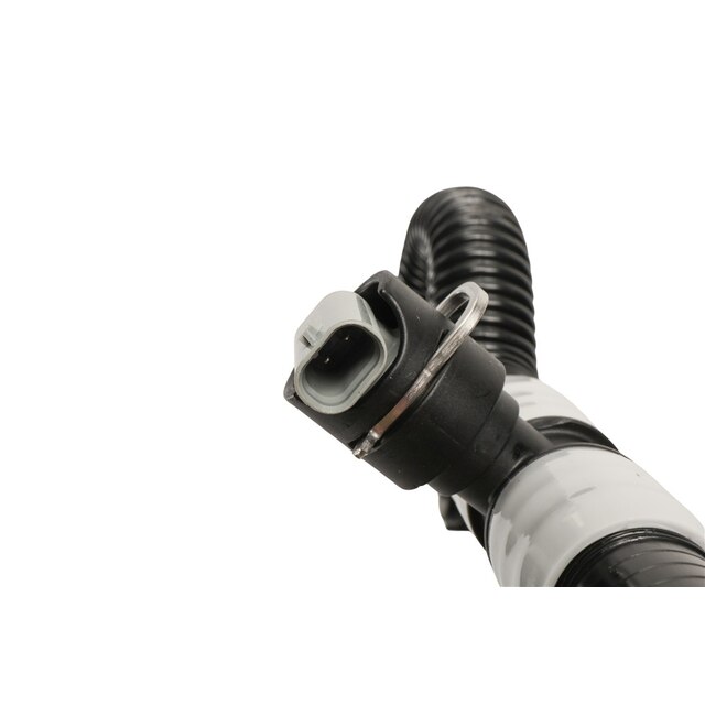 Alternate Image