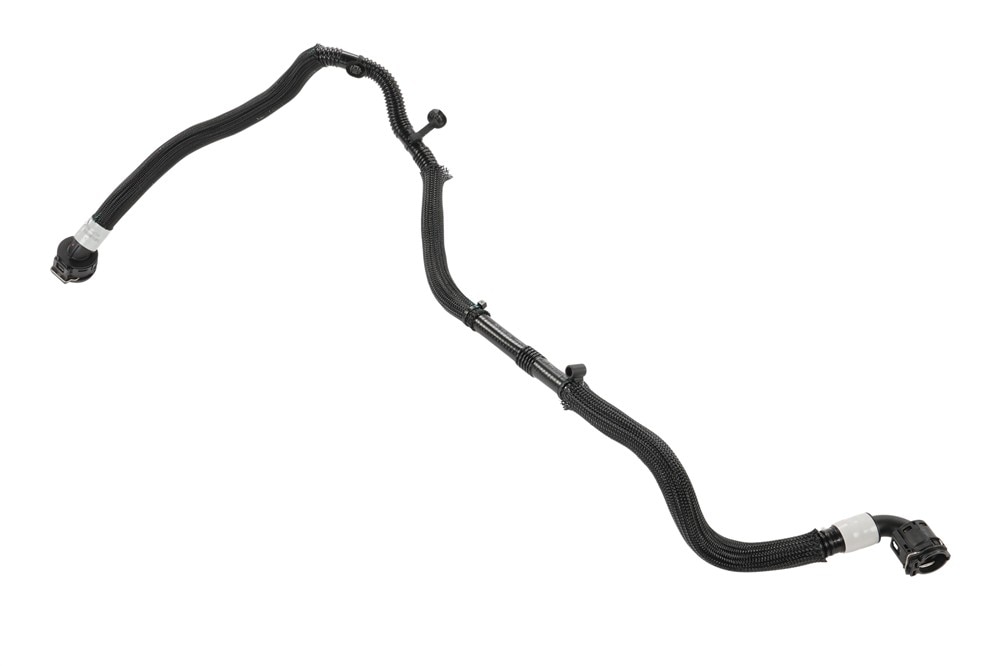 Alternate Image