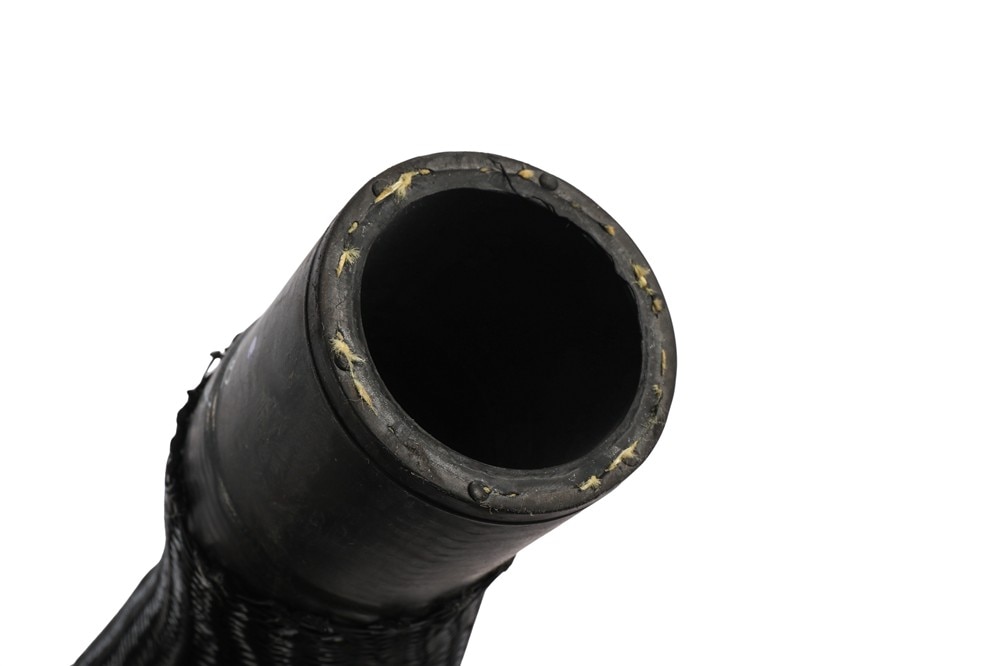 Alternate Image