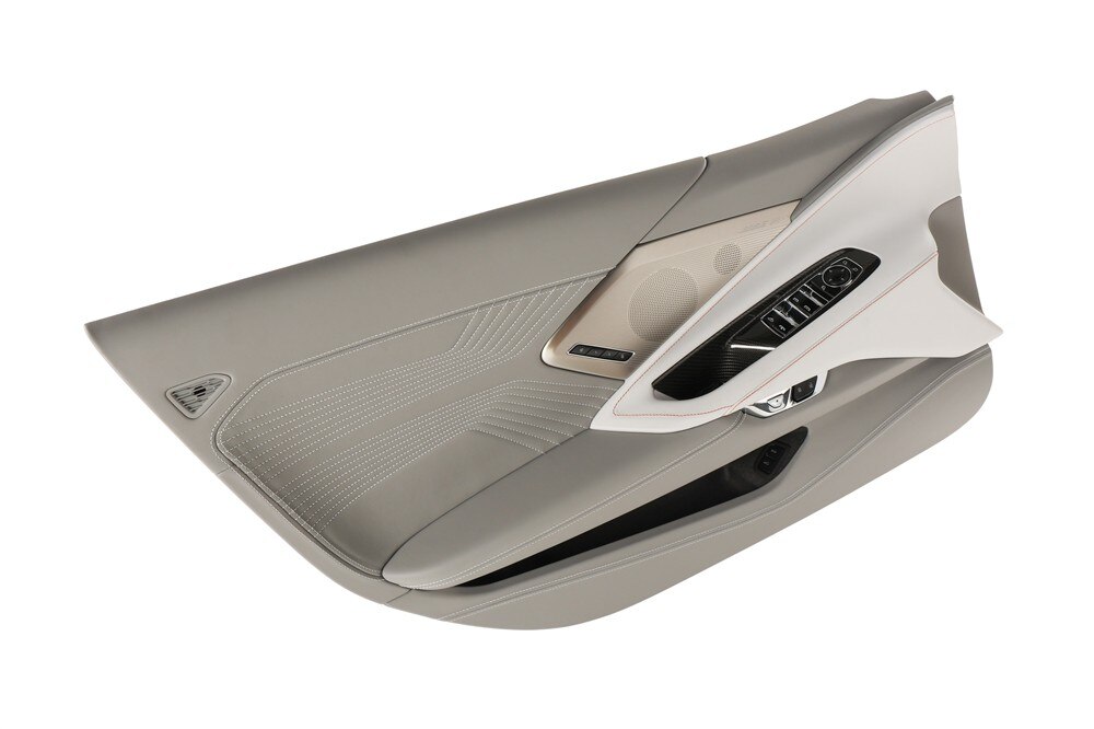 GM Genuine Parts Front Driver Side Door Trim