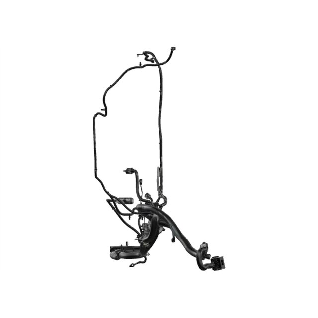 Alternate Image