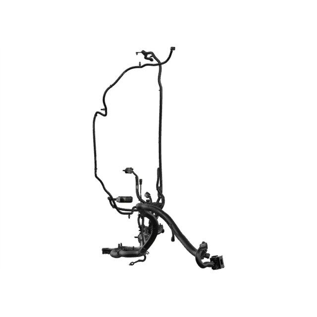 Alternate Image