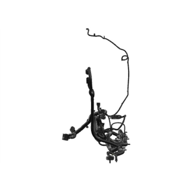 Alternate Image