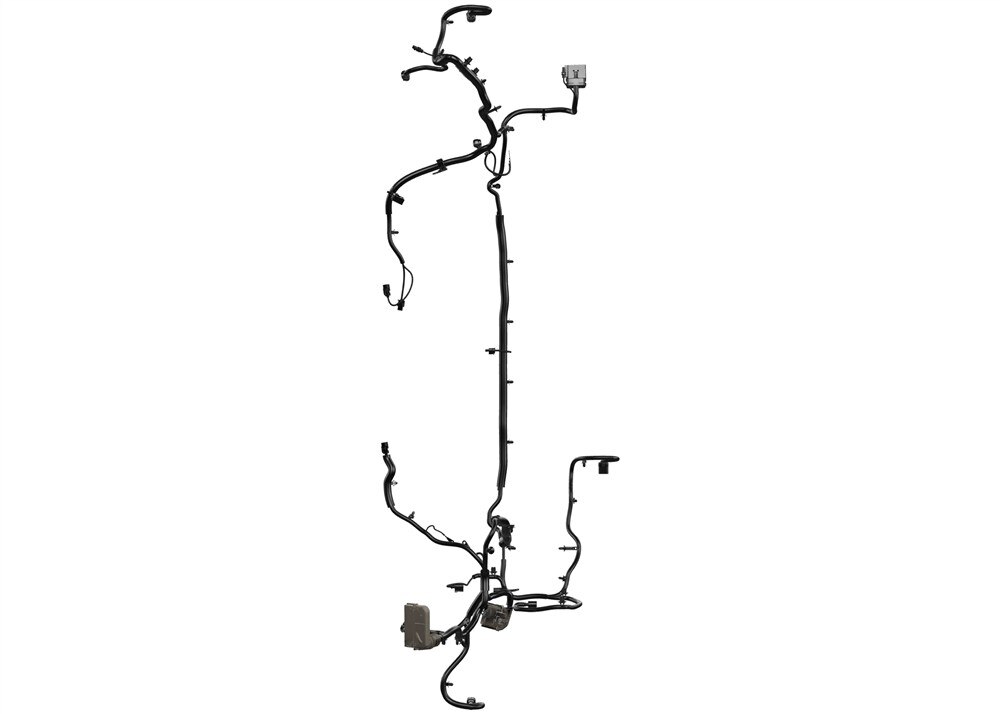 Alternate Image