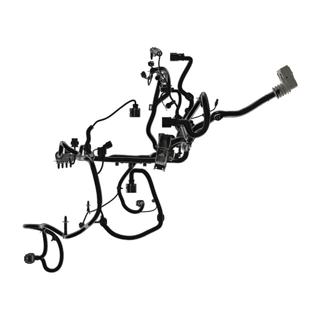 Alternate Image