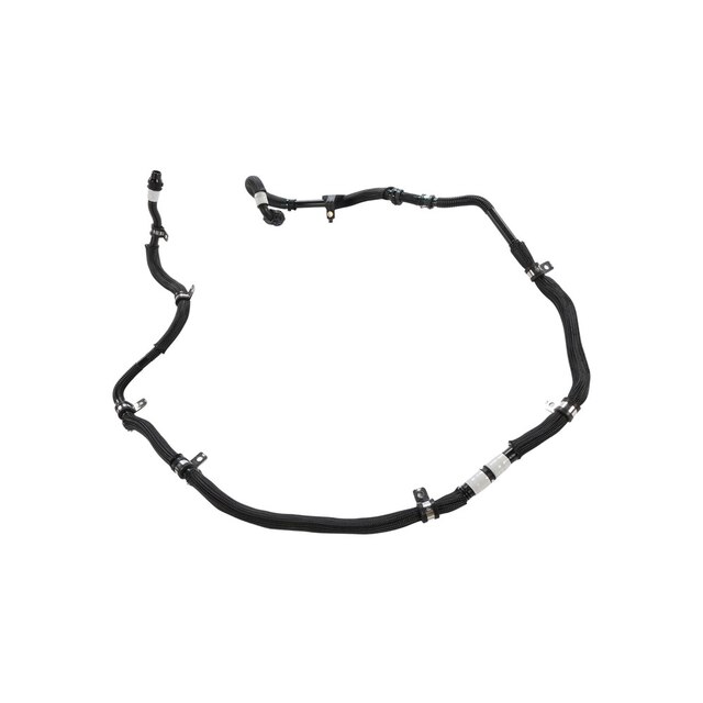 Alternate Image