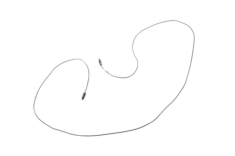Alternate Image