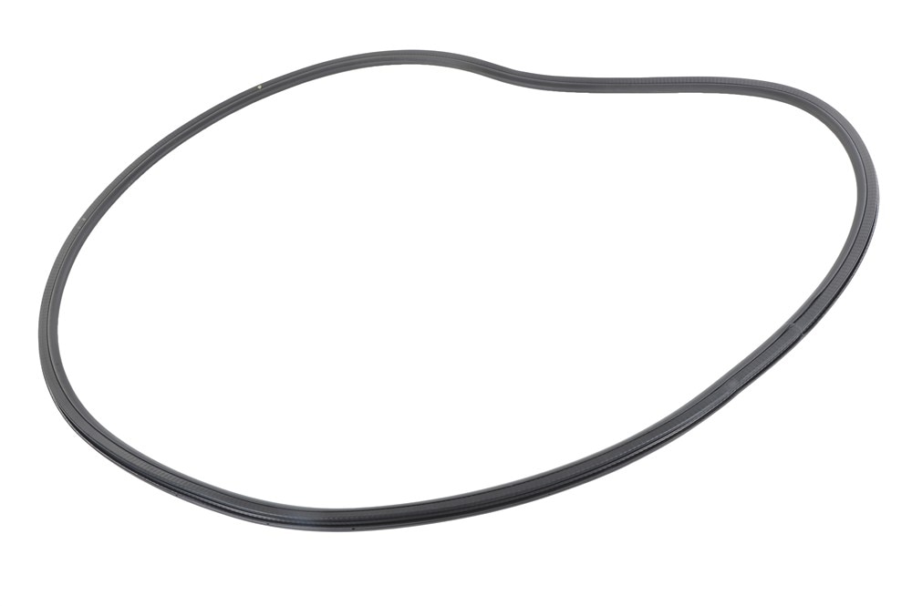 GM Genuine Parts Rear Side Door Body Side Weatherstrip
