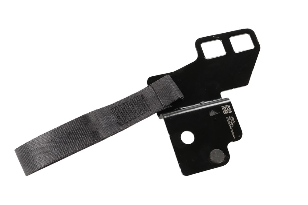 GM Genuine Parts Rear Seat Back Latch