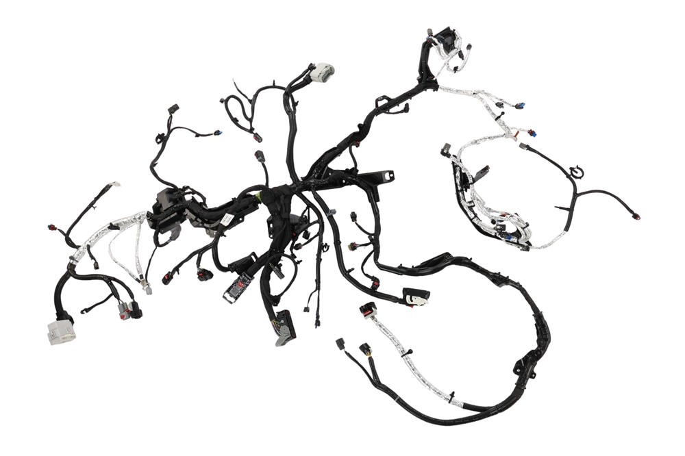 Primary Image