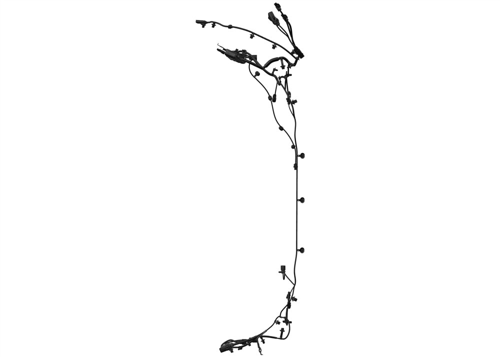 Alternate Image