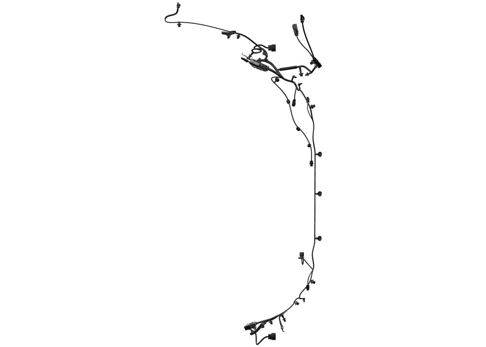 Alternate Image