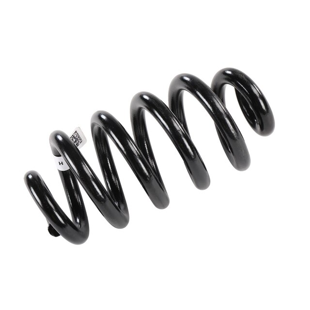 GM Genuine Parts Rear Coil Spring