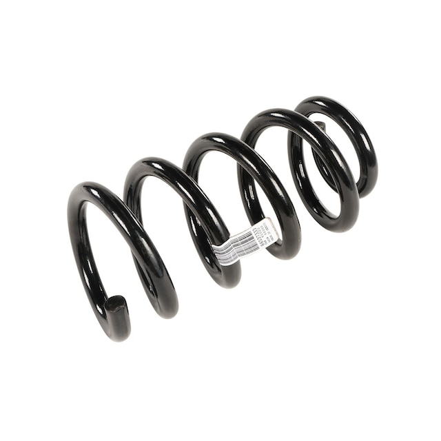 GM Genuine Parts Front Drivers Side Front Drivers Side Coil Spring
