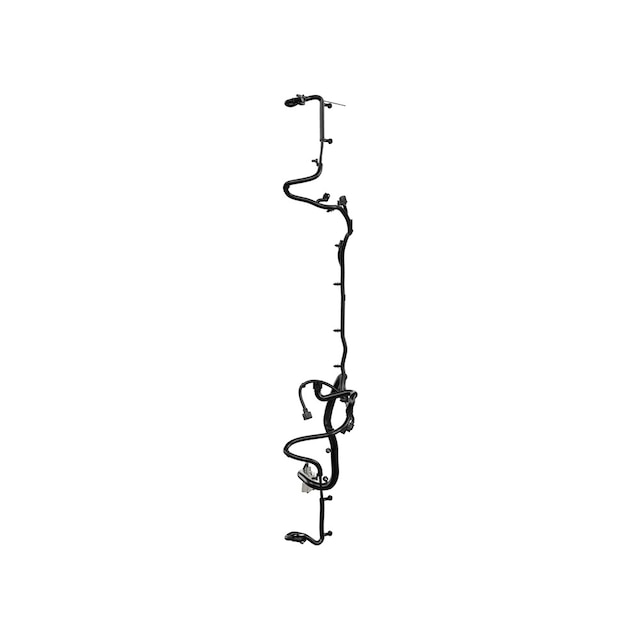 Alternate Image