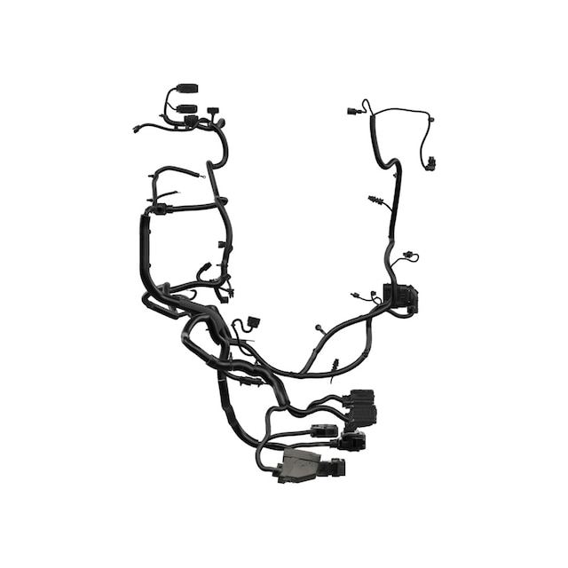 Alternate Image