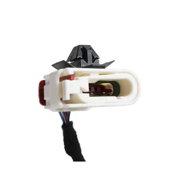Alternate Image