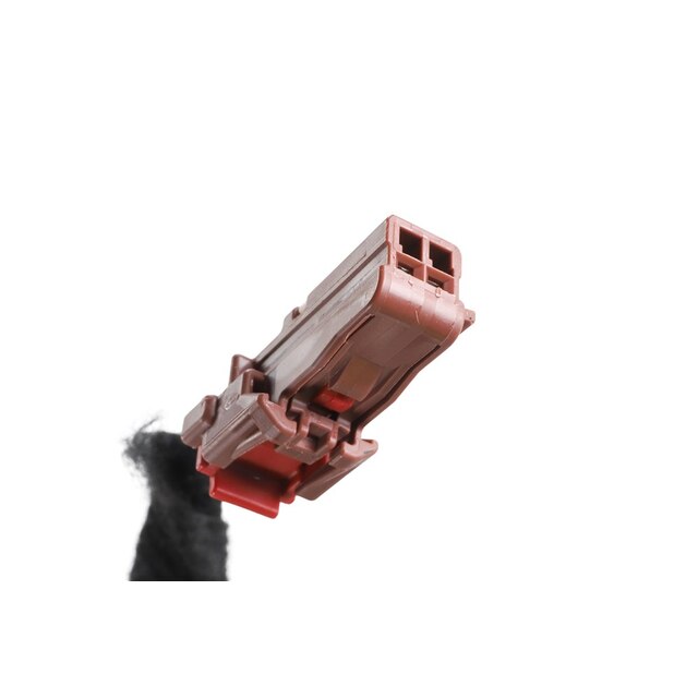 Alternate Image