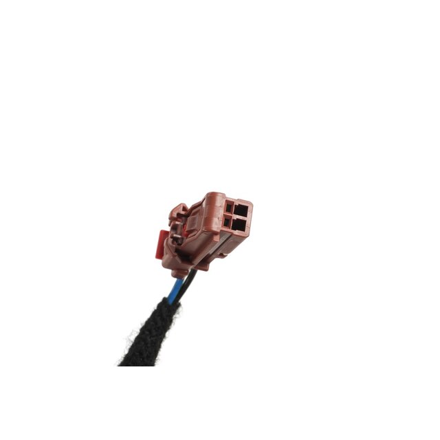 Alternate Image