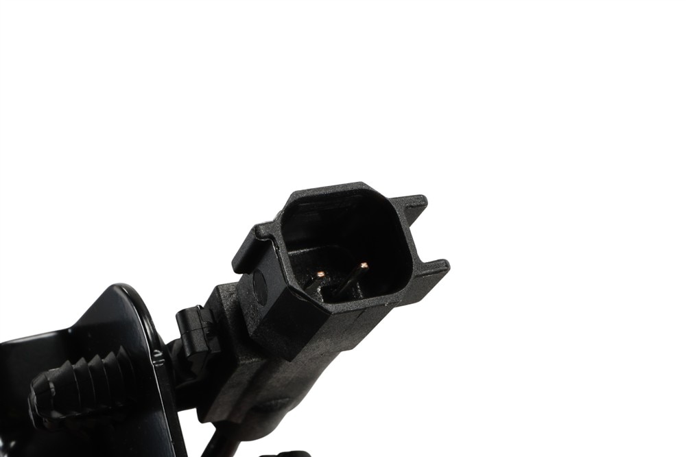 Alternate Image