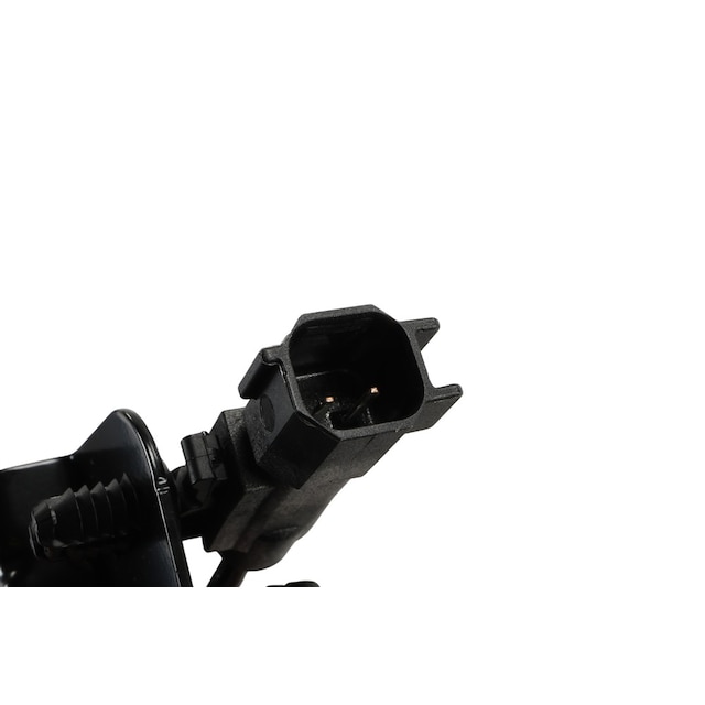 Alternate Image