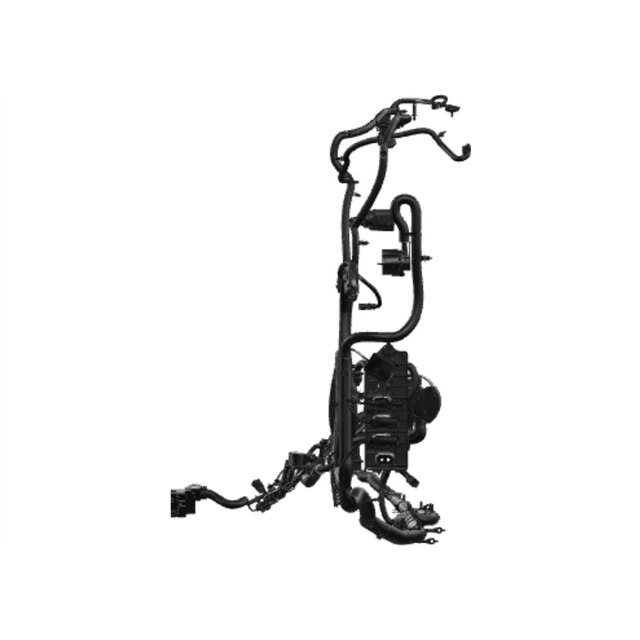 Alternate Image