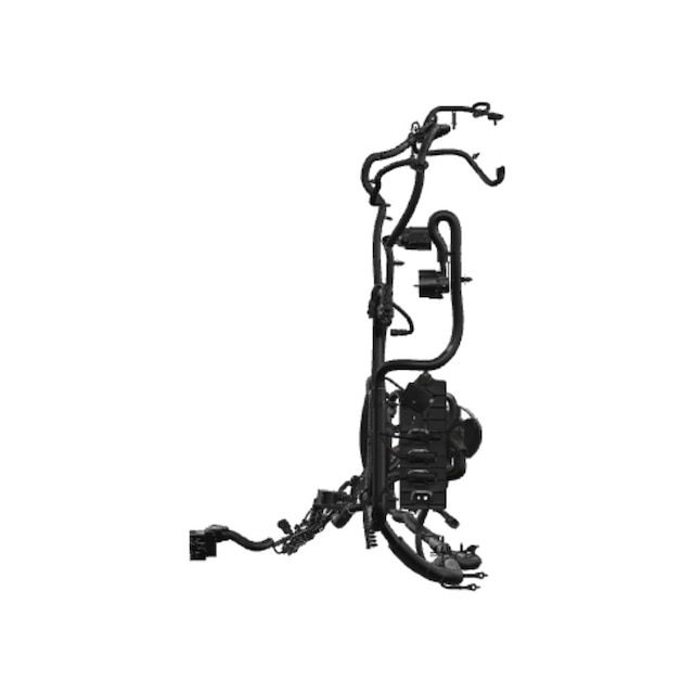Alternate Image