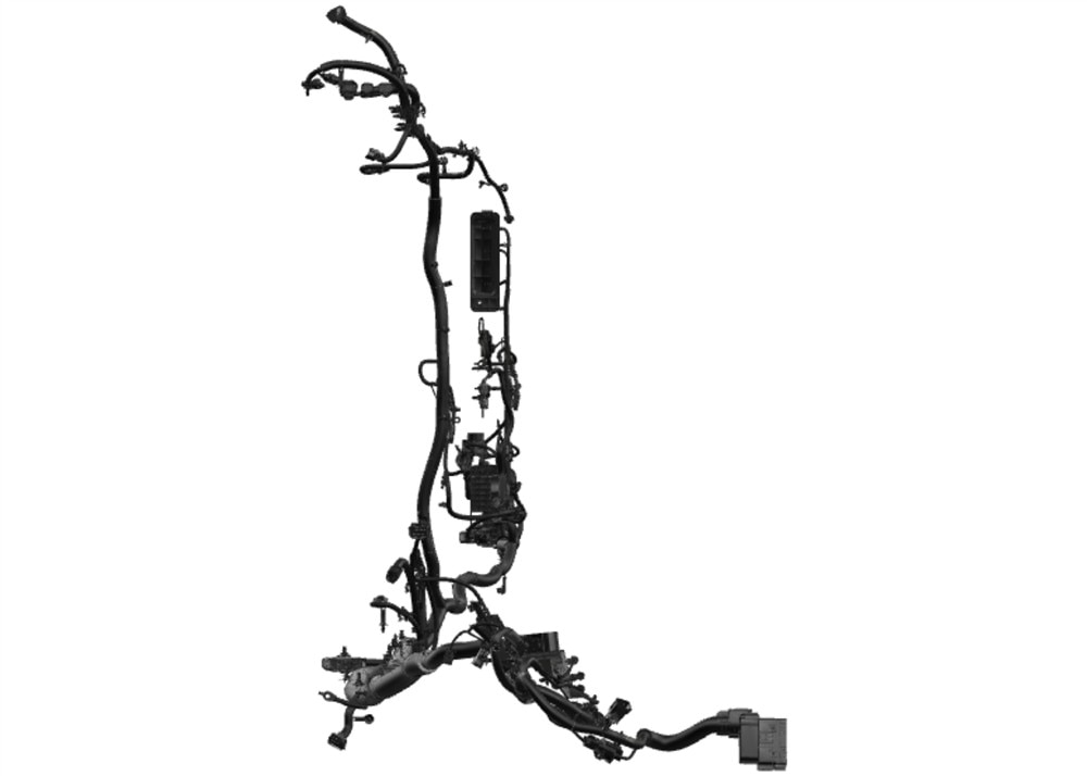 Alternate Image