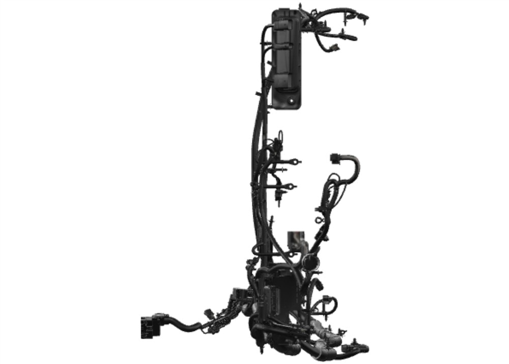 Alternate Image