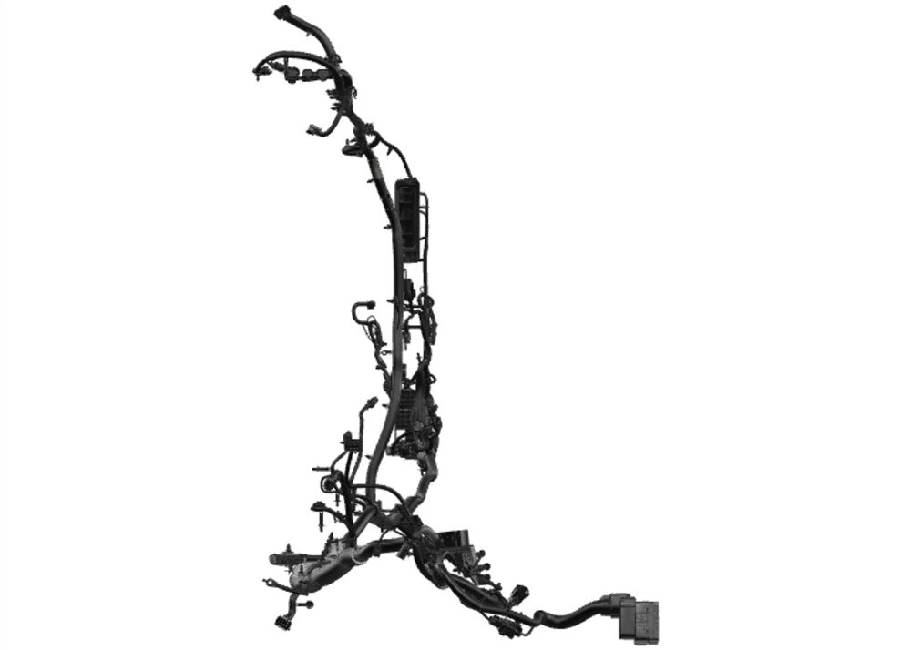 Alternate Image