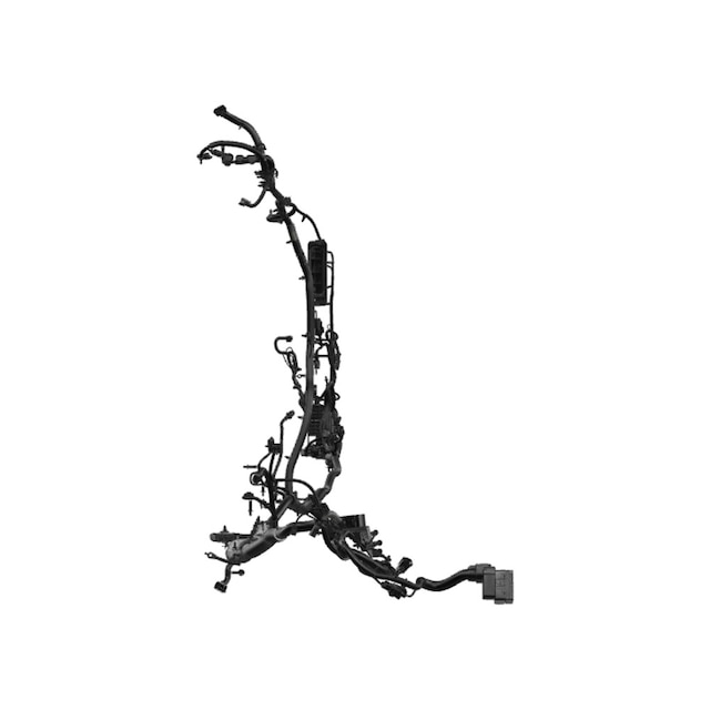 Alternate Image