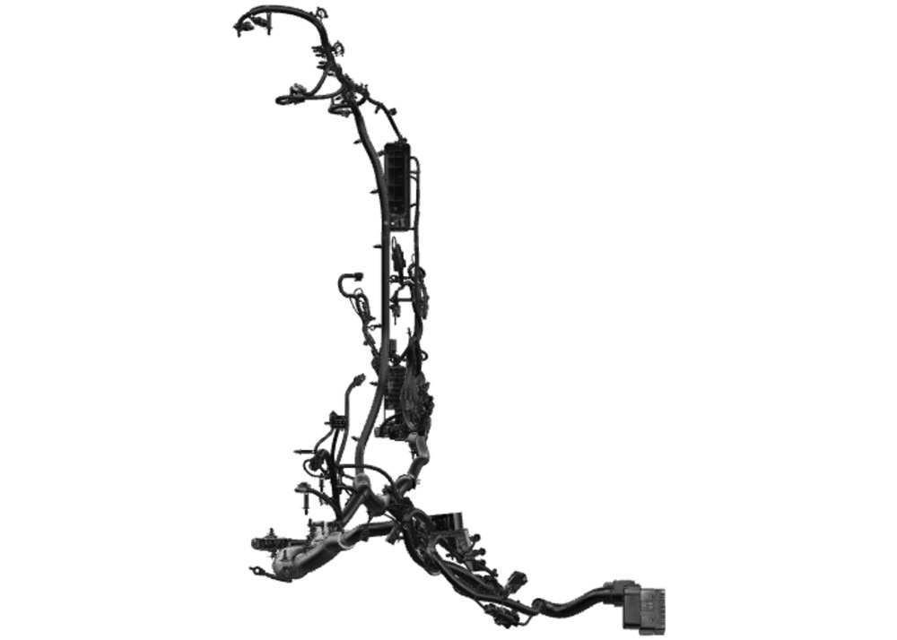 Alternate Image