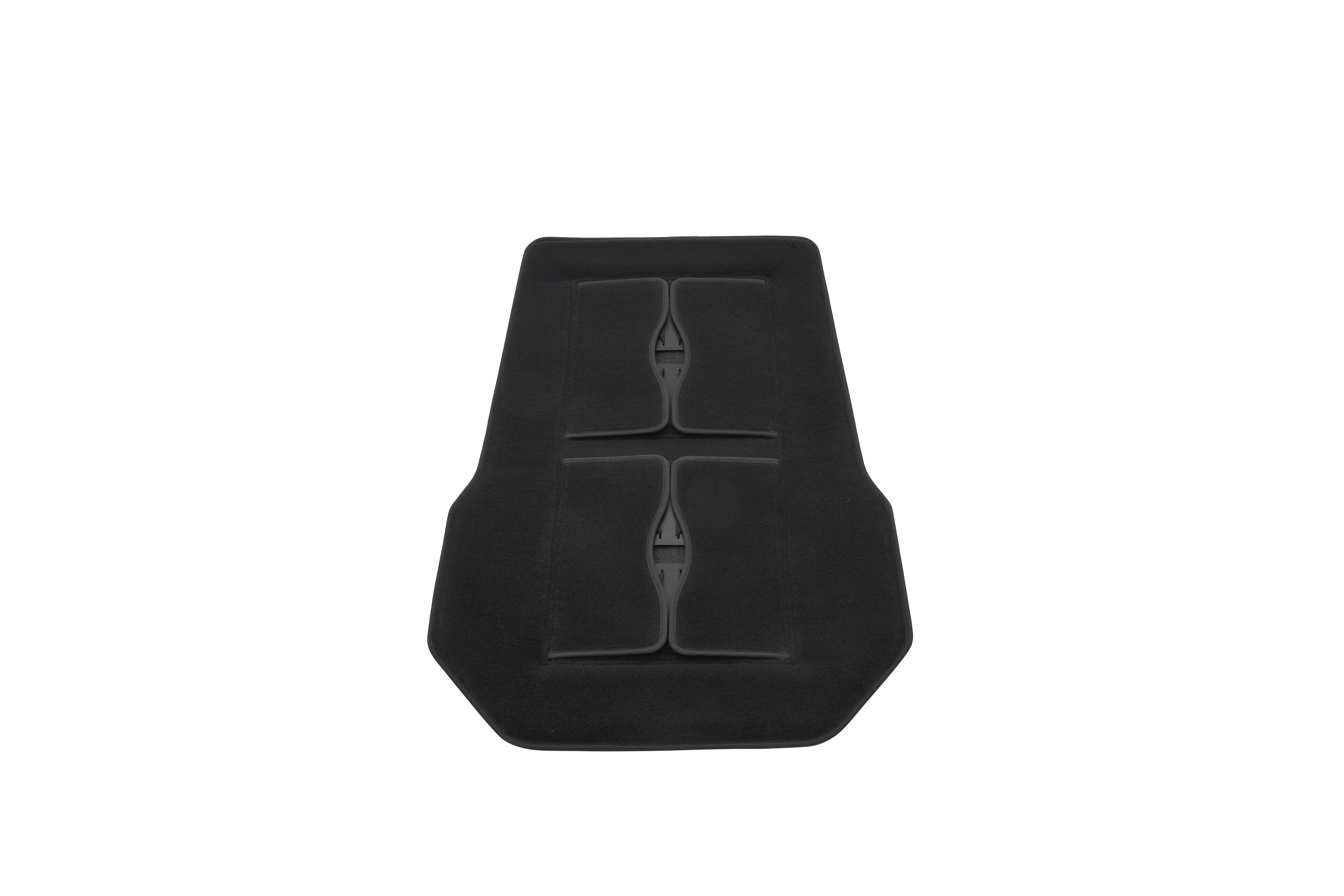 Alternate Image