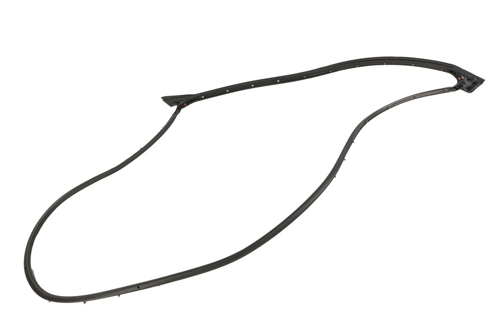 GM Genuine Parts Front Drivers Side Door Weatherstrip