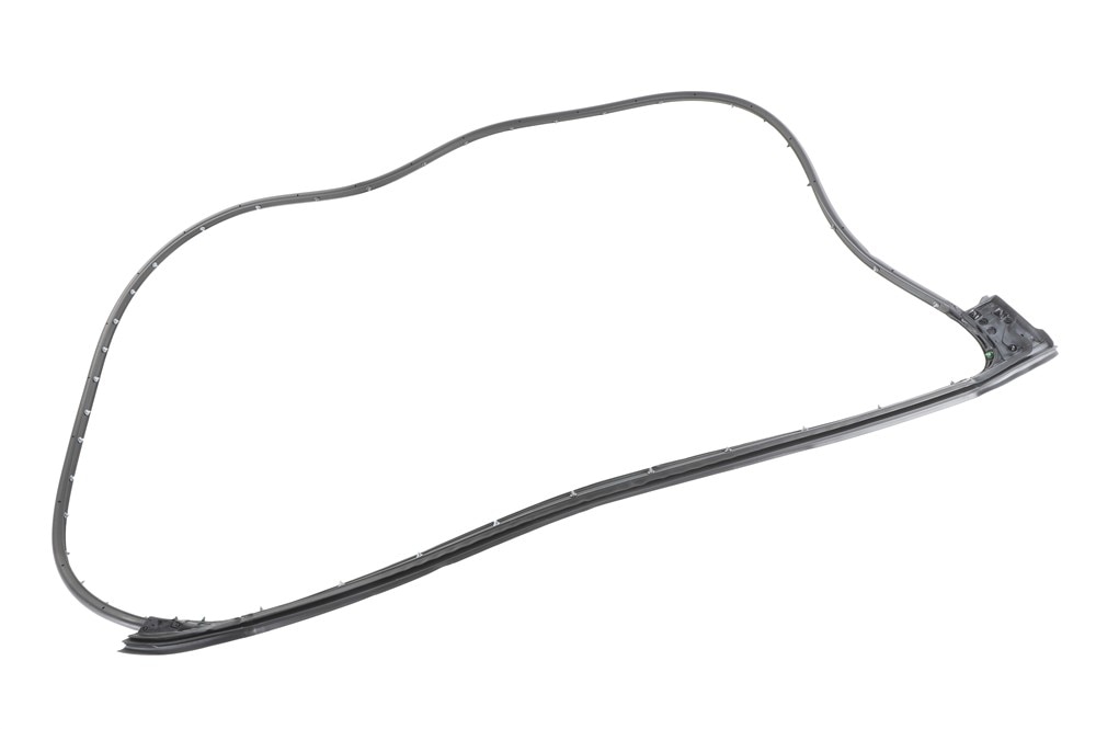 GM Genuine Parts Front Passengers Side Door Weatherstrip