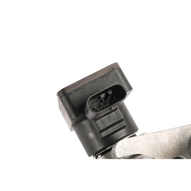 Alternate Image