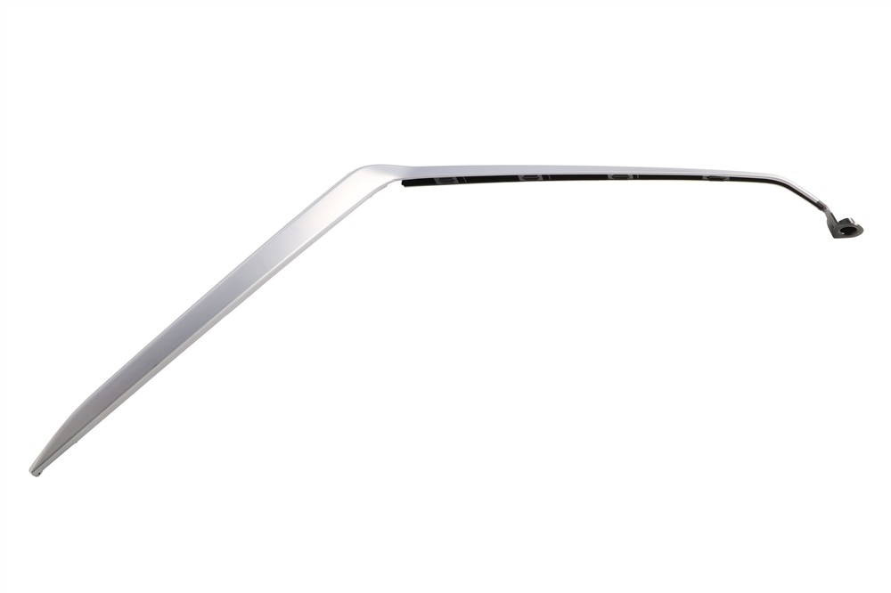 GM Genuine Parts Rupal Rear Bumper Fascia Passenger Side Molding