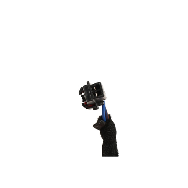 Alternate Image