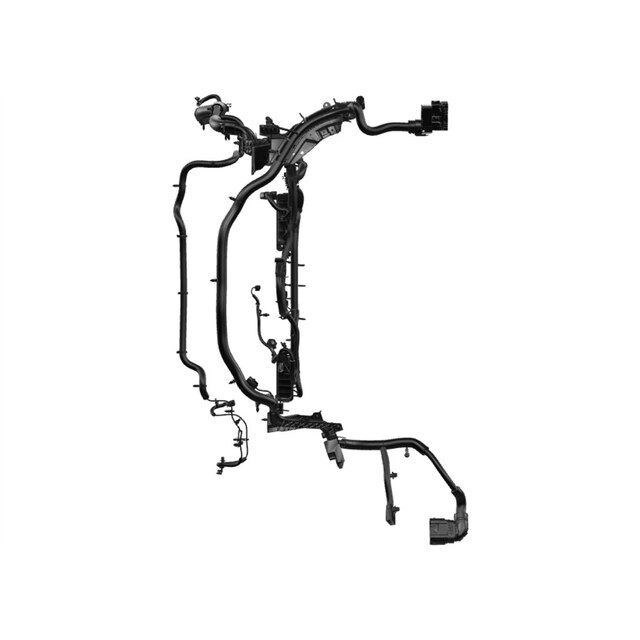 Alternate Image