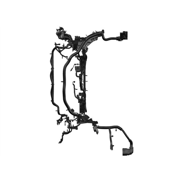 Alternate Image