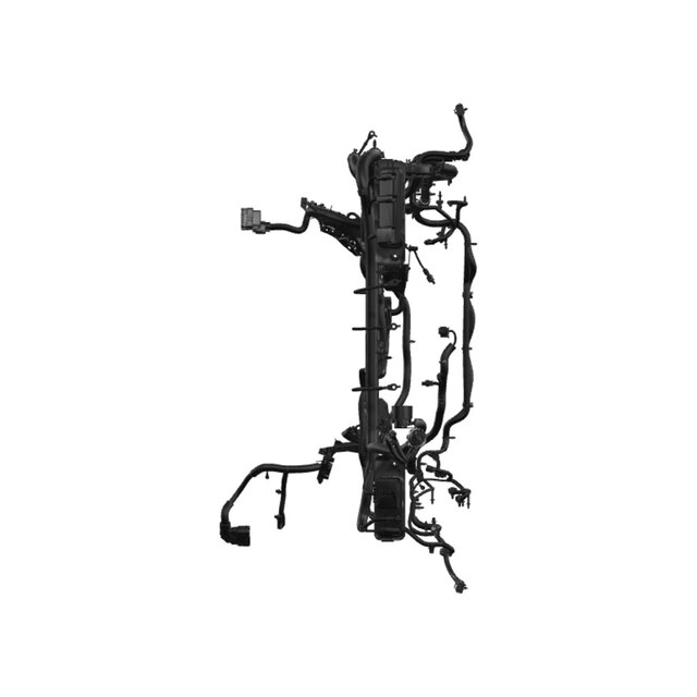 Alternate Image