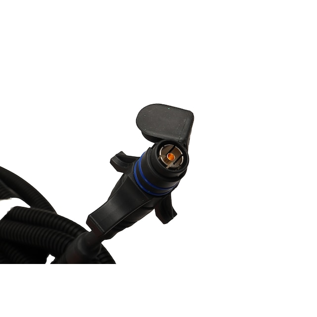Alternate Image