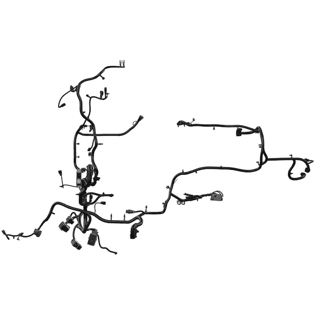 Alternate Image