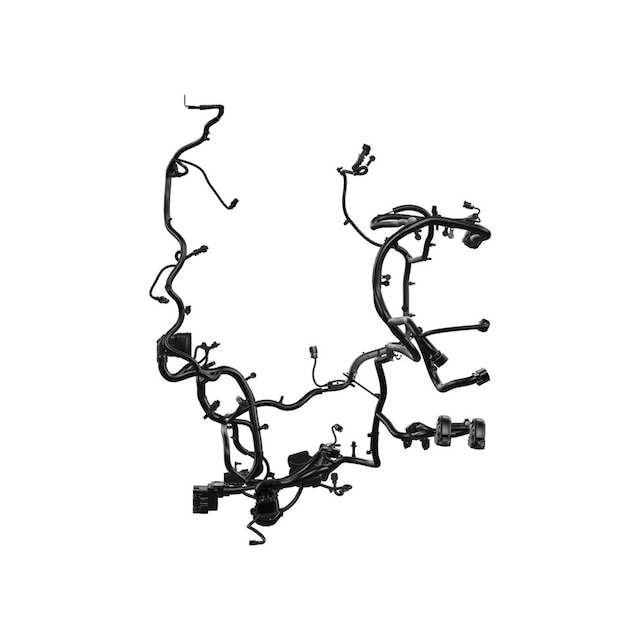 Alternate Image