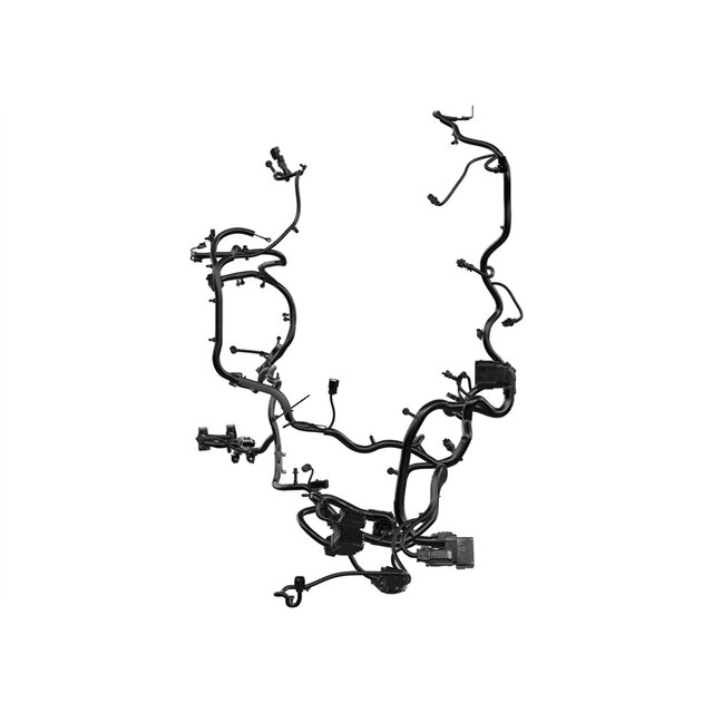 Alternate Image