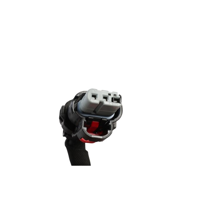 Alternate Image