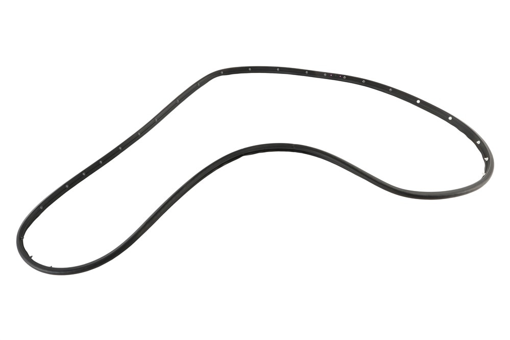 GM Genuine Parts Rear Driver Side Door Weatherstrip (Door Side)