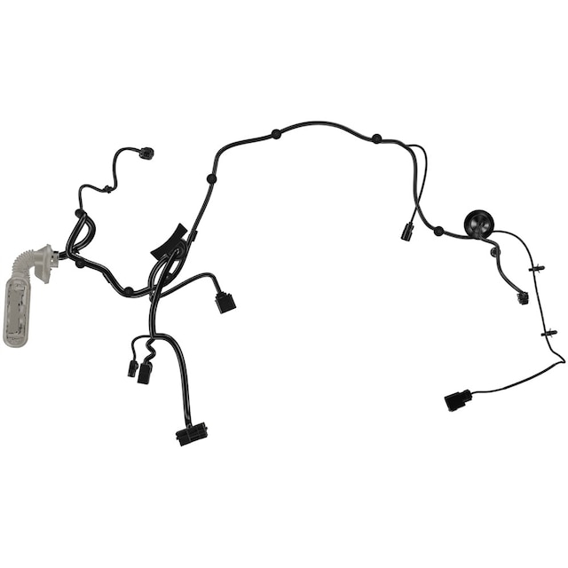 Alternate Image