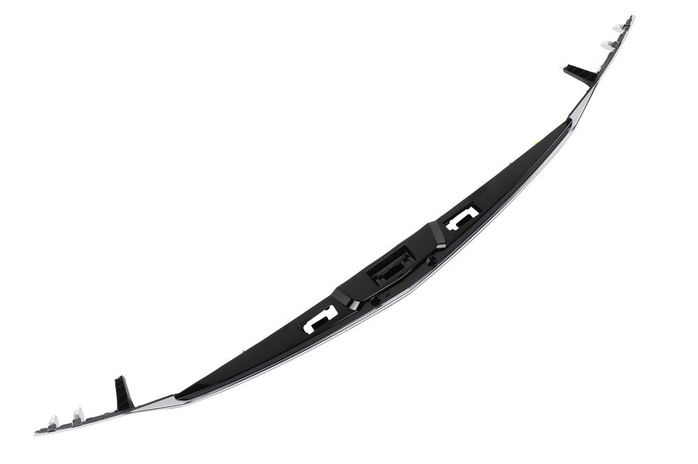 GM Genuine Parts Rear Closure Center Applique