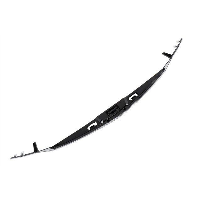 GM Genuine Parts Rear Closure Center Applique